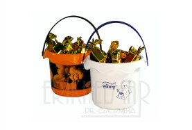Balde Dulces Halloween